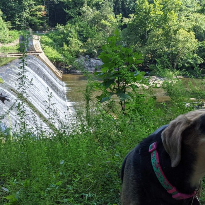 PXL_20210814_140421444.MP_-scaled-1