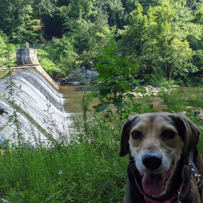 PXL_20210814_140426745.MP_-scaled-1