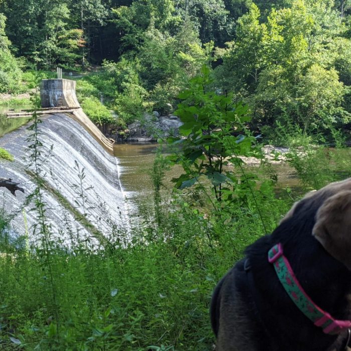 PXL_20210814_140430544-scaled-1