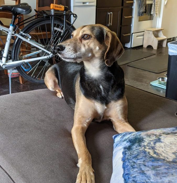 PXL_20210815_152132035-scaled-1