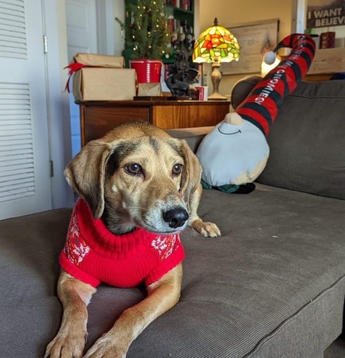 PXL_20211212_182135336-scaled-1