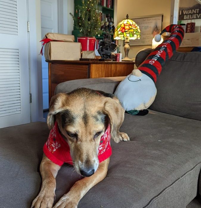 PXL_20211212_182133139-scaled-1