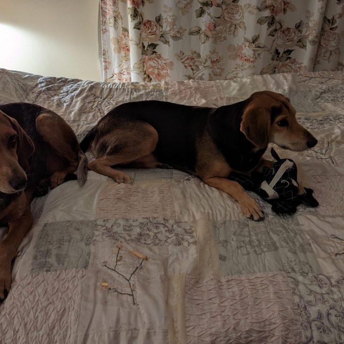 PXL_20211126_034737107-scaled-1