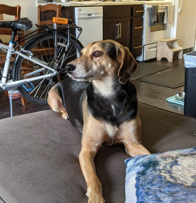 PXL_20210815_152136620-scaled-1