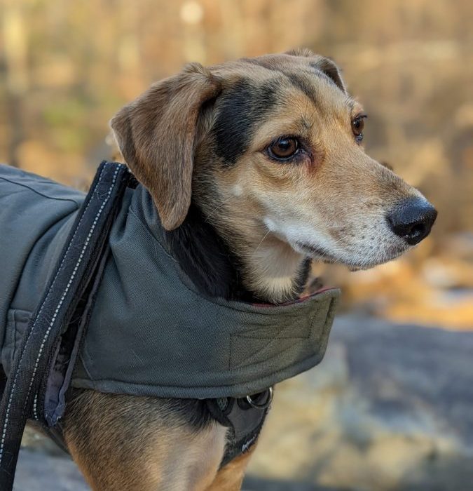 PXL_20220108_203703214.PORTRAIT-scaled-1