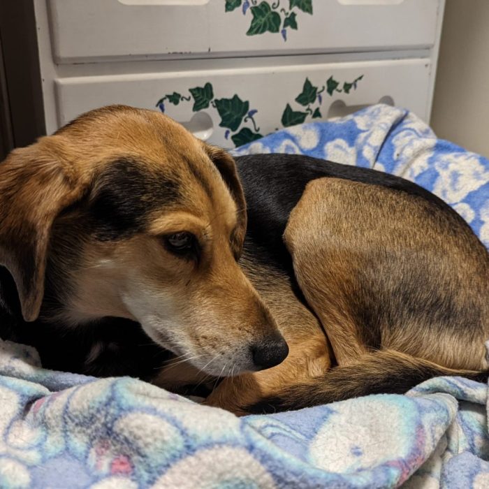 PXL_20220127_215300033-scaled-1