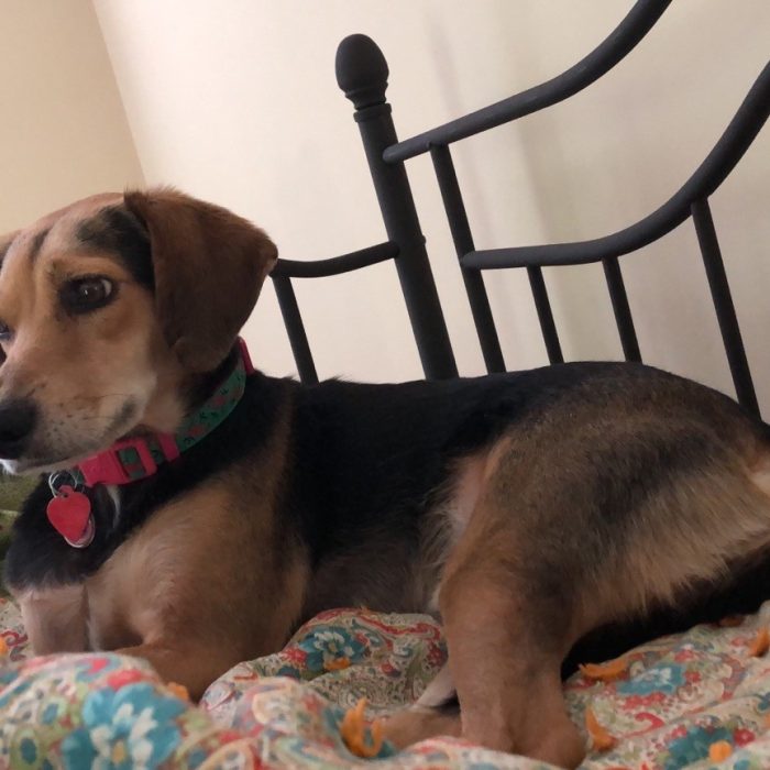 signal-2020-05-29-100928