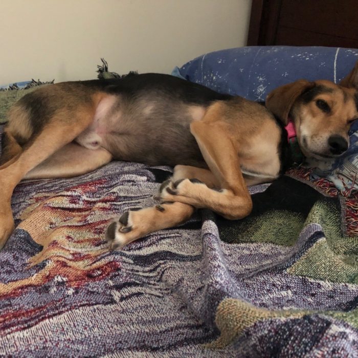 signal-2020-07-23-111909