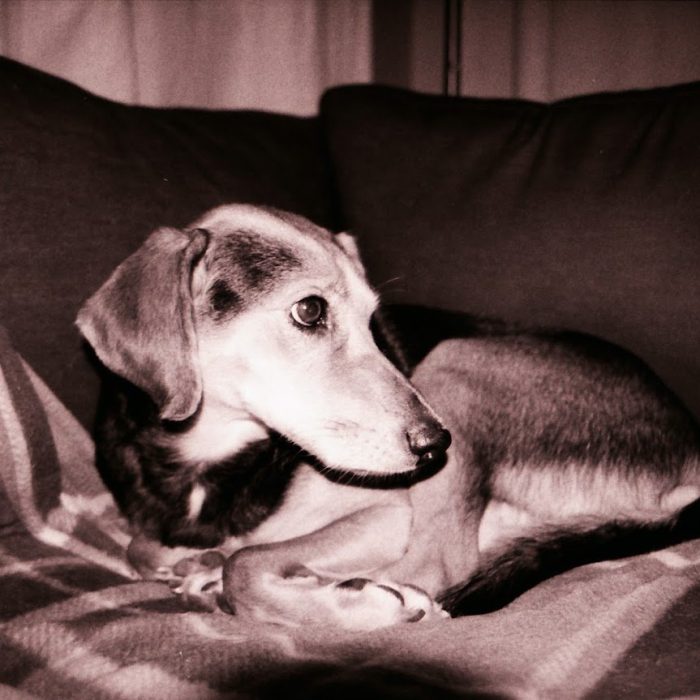 signal-2020-08-08-180342