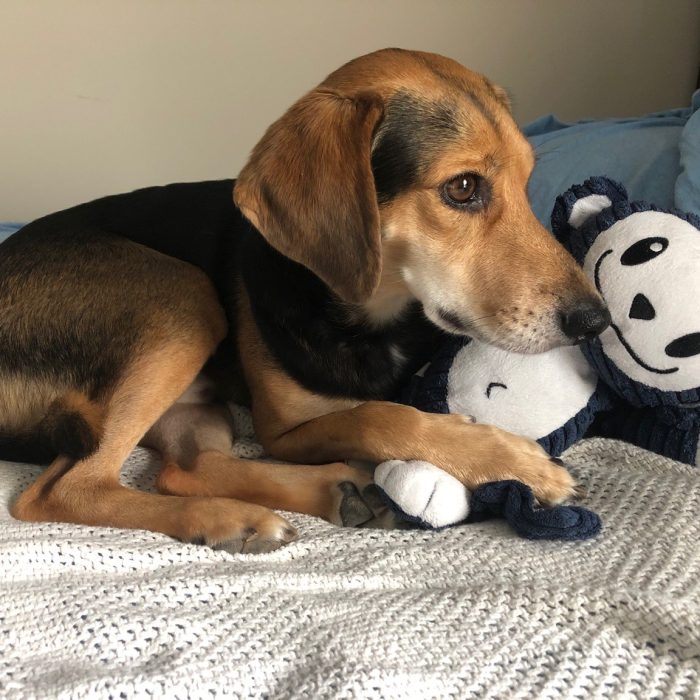 signal-2020-08-04-170358