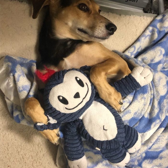 signal-2020-09-21-232919-rotated-1