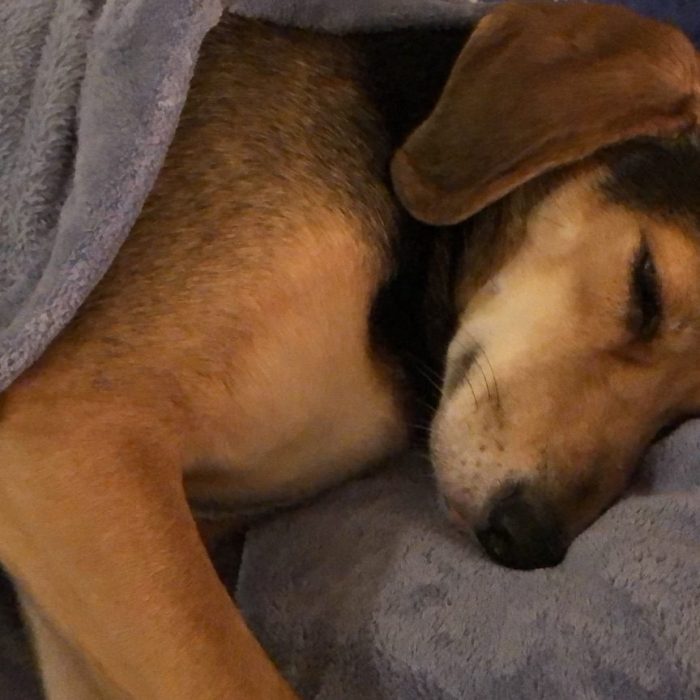 signal-2020-11-24-222440-rotated-1