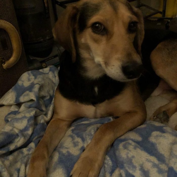 signal-2020-11-24-225023-rotated-1