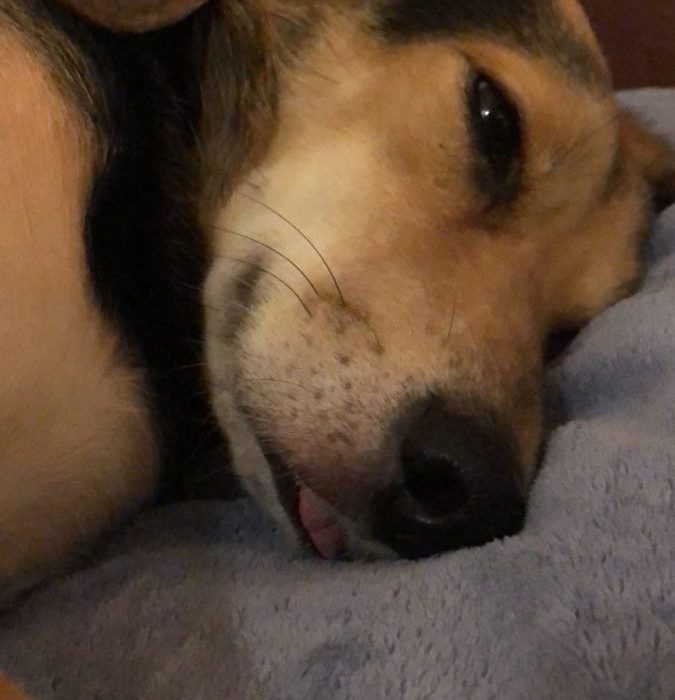 signal-2020-11-24-222326-rotated-1