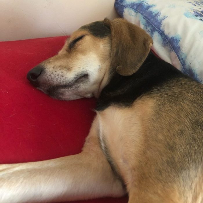 signal-2020-11-14-211146-rotated-1