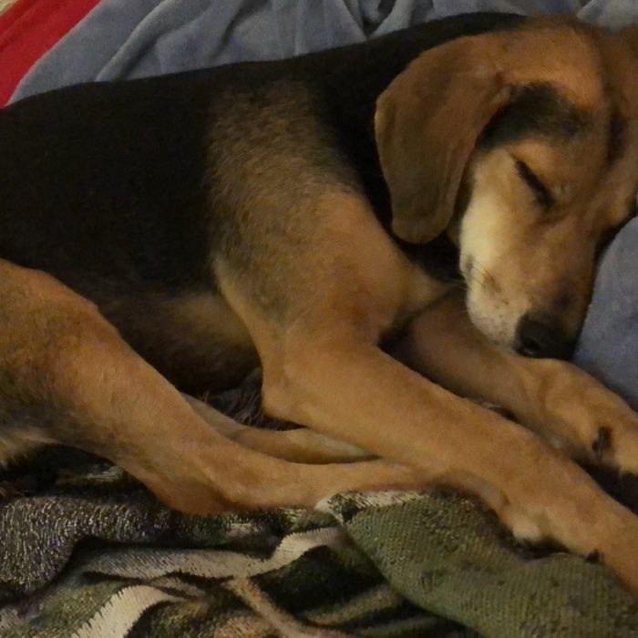 signal-2020-11-24-222046