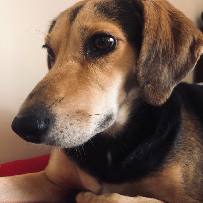 signal-2020-11-14-211141