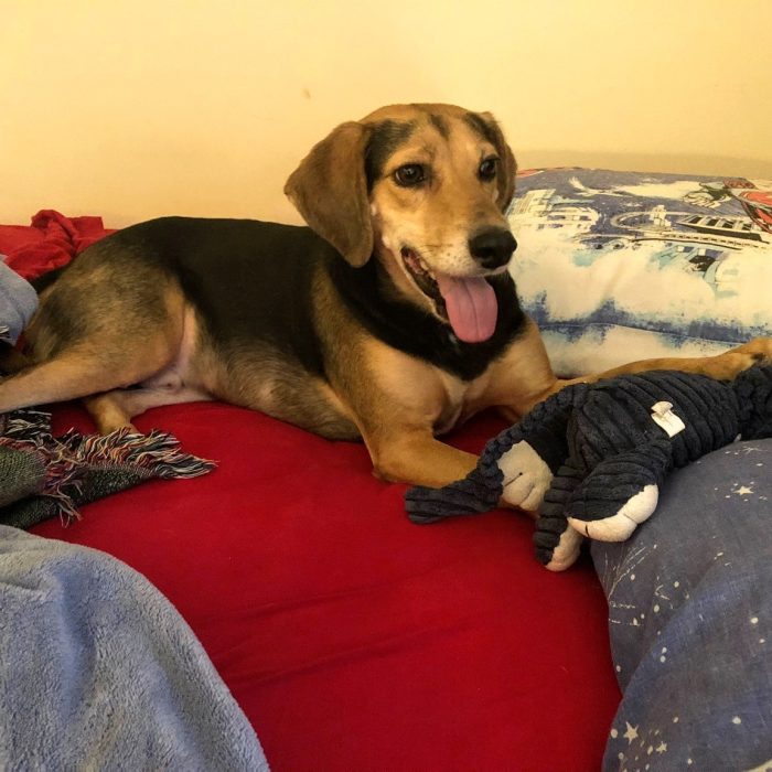 signal-2020-11-12-162516