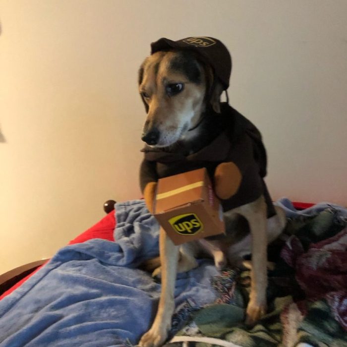 signal-2020-10-31-220651-rotated-1