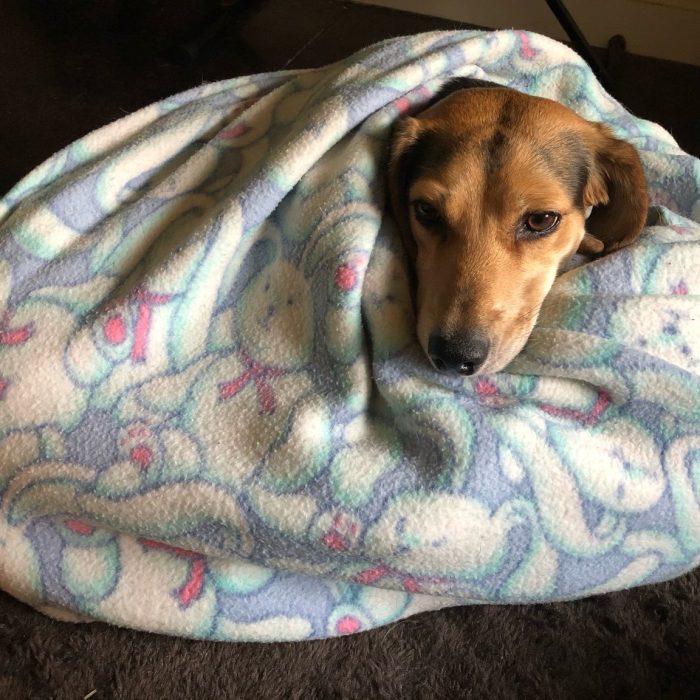 signal-2021-02-16-093956