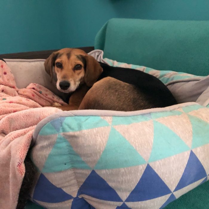 signal-2021-03-18-122629