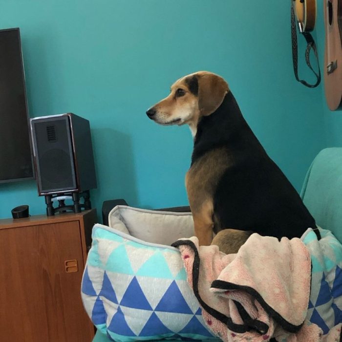 signal-2021-03-19-222109-rotated-1