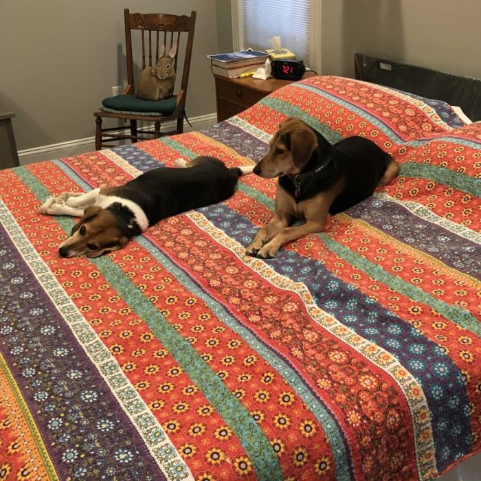 signal-2021-09-15-105633