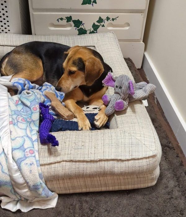 Snapchat-772333869-scaled-1