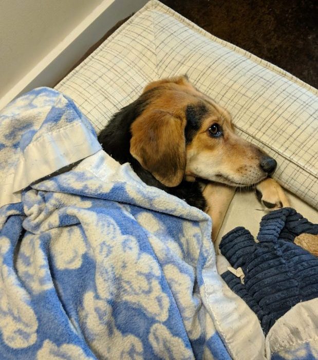 Snapchat-1799338104-scaled-1