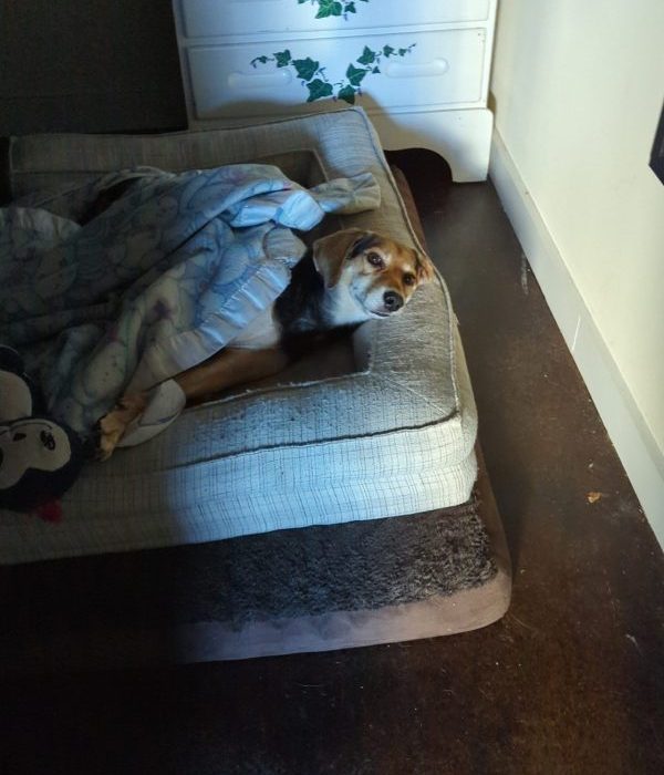 Snapchat-2004226505-scaled-1