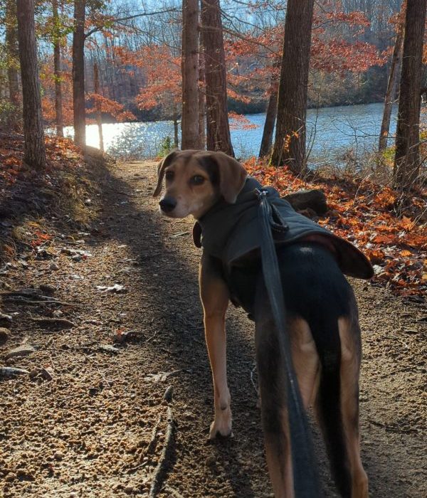 2_Snapchat-1653503559-scaled-1