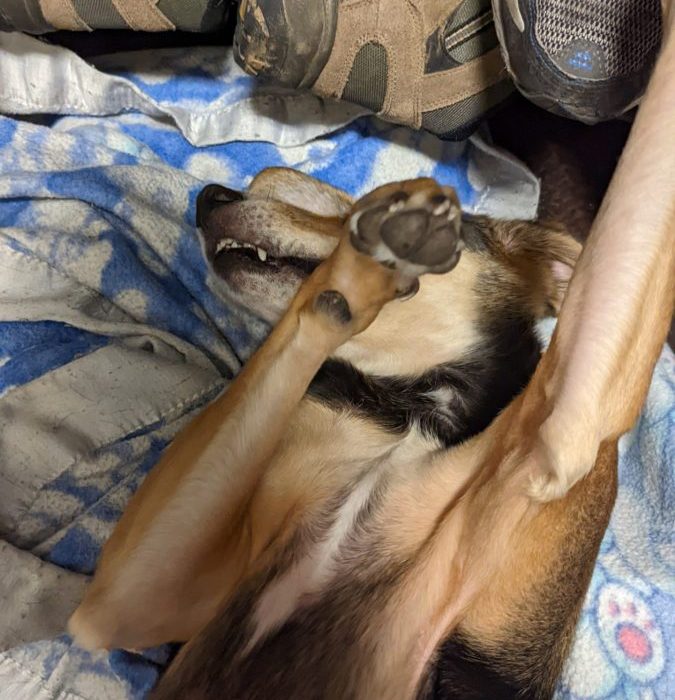 1_PXL_20220203_213011421-scaled-1