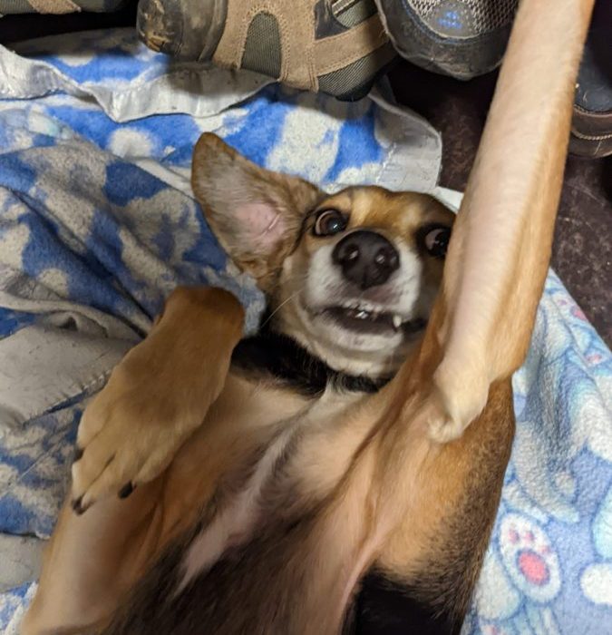 1_PXL_20220203_213014401-scaled-1