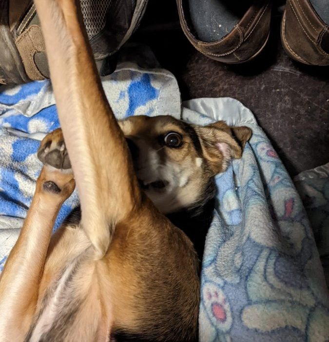 1_PXL_20220203_213016196-scaled-1