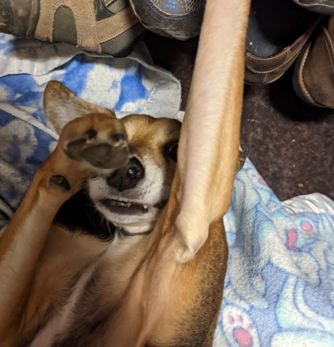 1_PXL_20220203_213017683-scaled-1