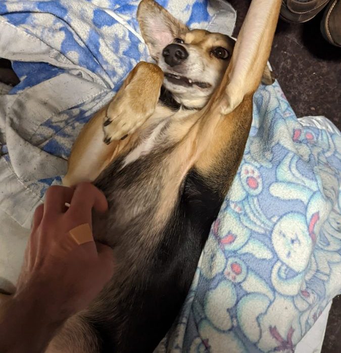 1_PXL_20220203_213021132-scaled-1