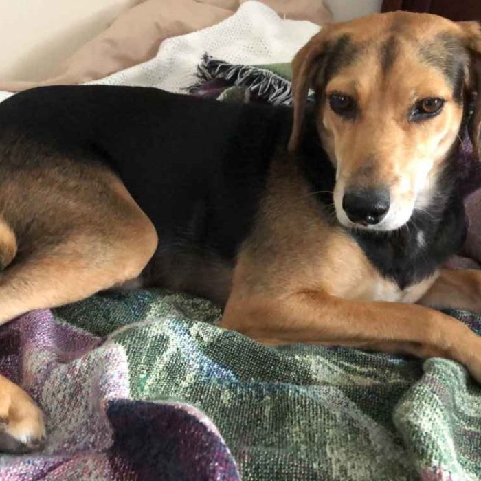 1_IMG_7486-rotated-1