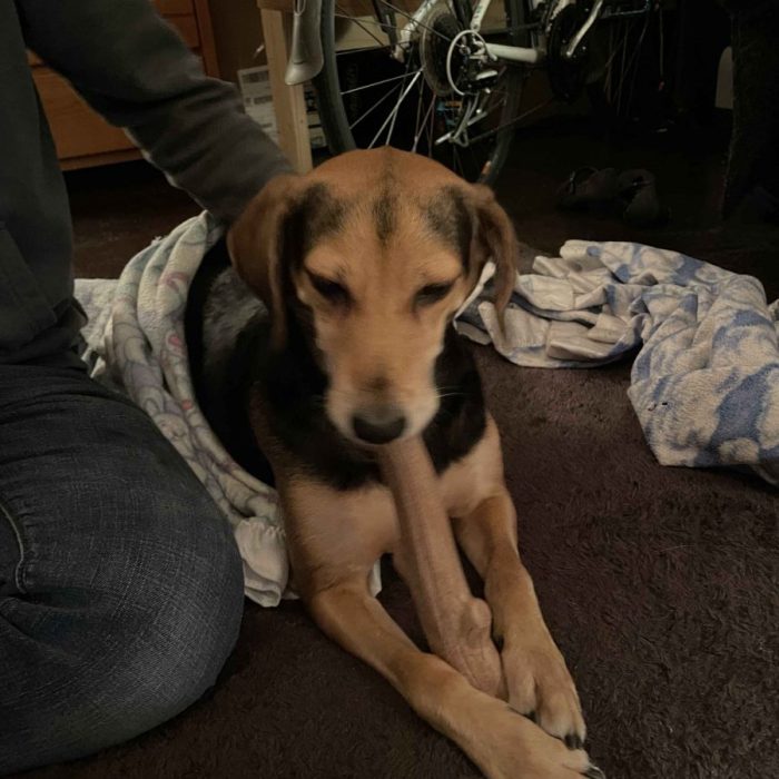 1_IMG_0588-1-scaled-1