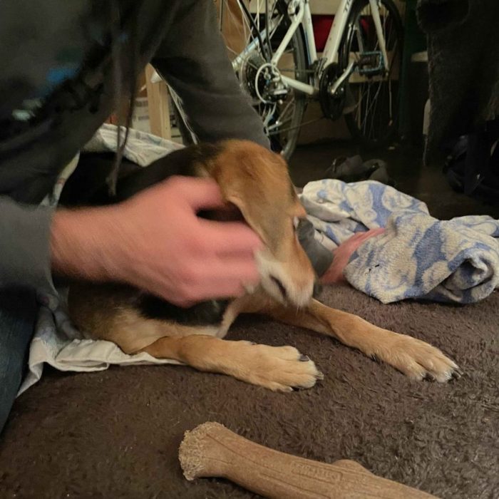 1_IMG_0587-1-scaled-1