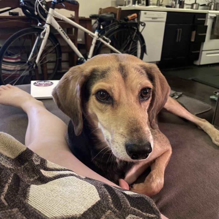 1_IMG_0176-1-scaled-1