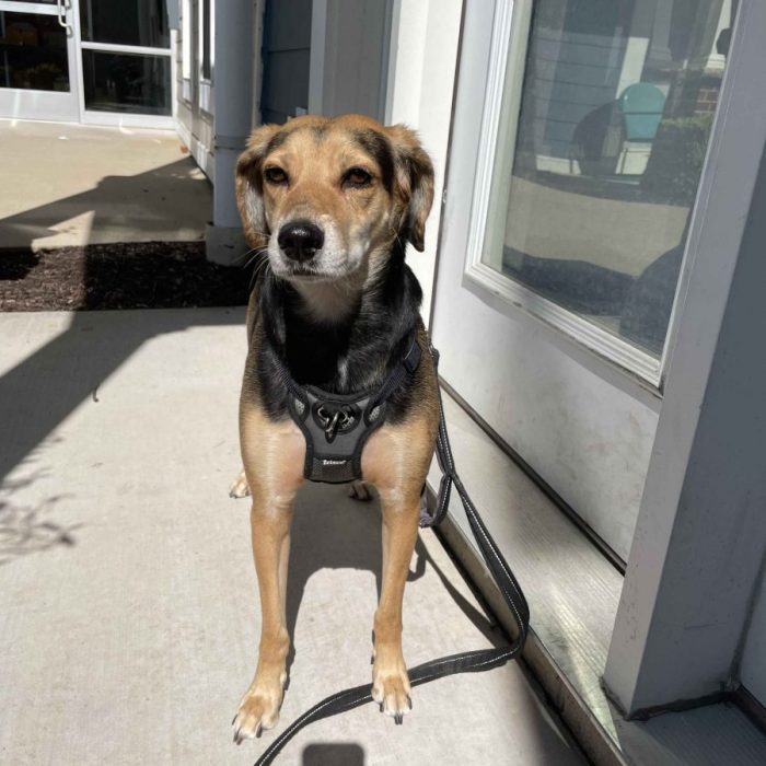 1_IMG_0166-1-scaled-1