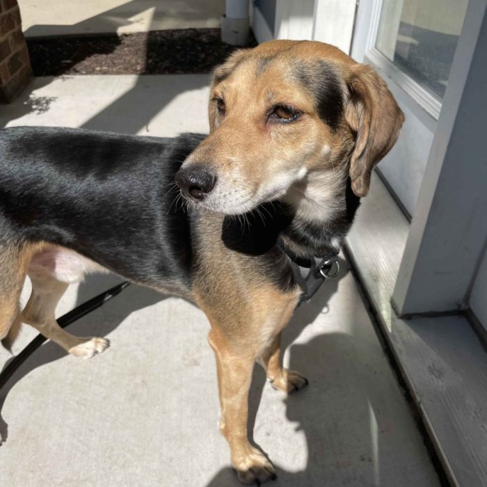 1_IMG_0163-1-scaled-1