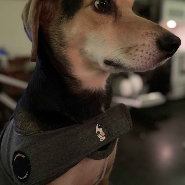 1_IMG_0102-1-scaled-1