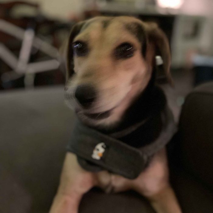 1_IMG_0100-1-scaled-1