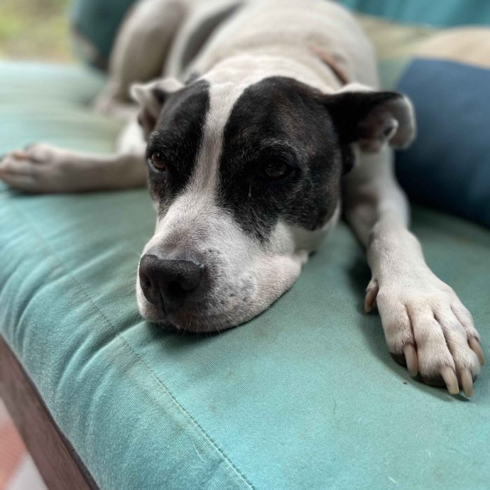 1_IMG_0087-1-scaled-1