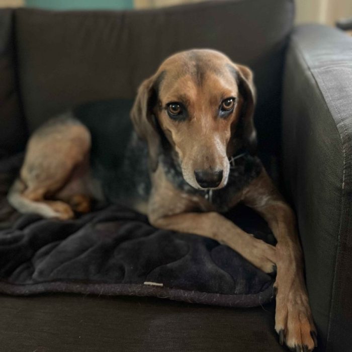 1_IMG_0079-1-scaled-1