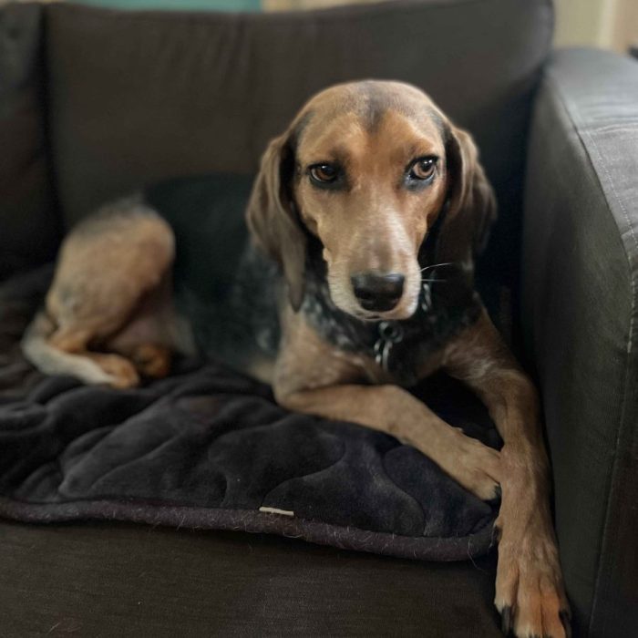 1_IMG_0078-1-scaled-1