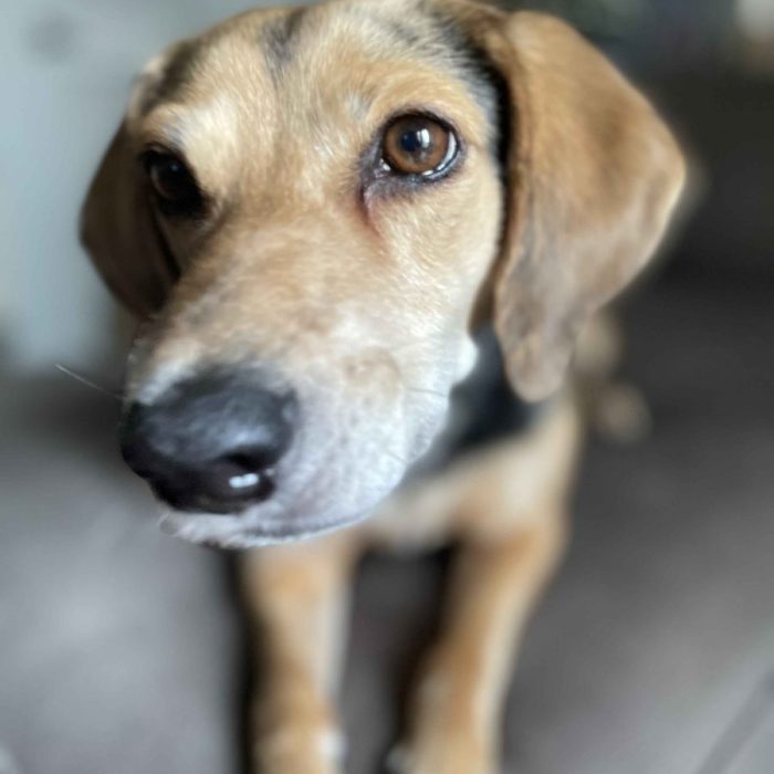 1_IMG_0057-1-scaled-1