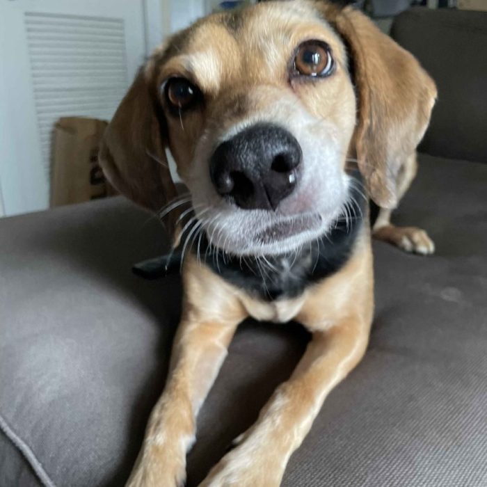 1_IMG_0055-2-scaled-1