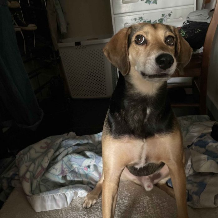 1_65194304877__19331234-7DC3-4173-BE41-FC4753B19015-1-scaled-1